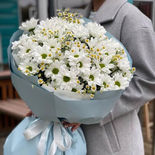 Ромашковое облако 