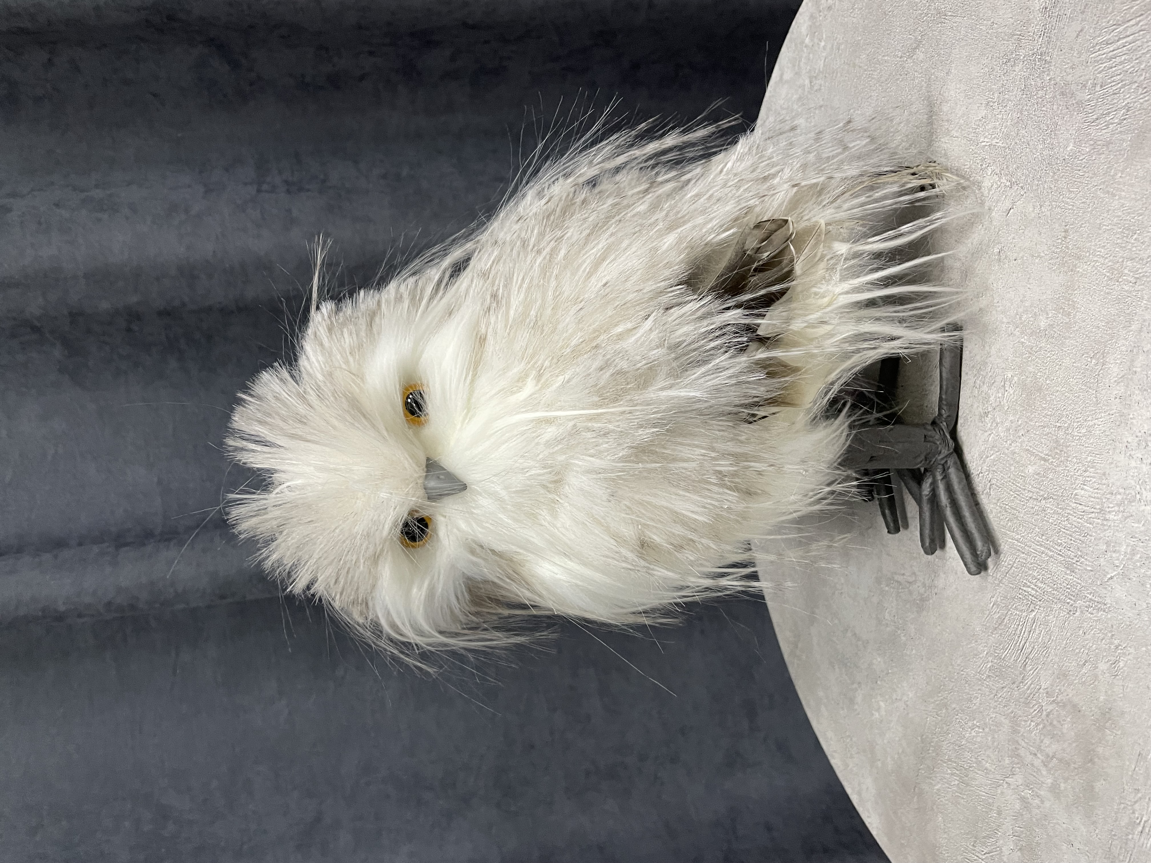 Пушистая сова