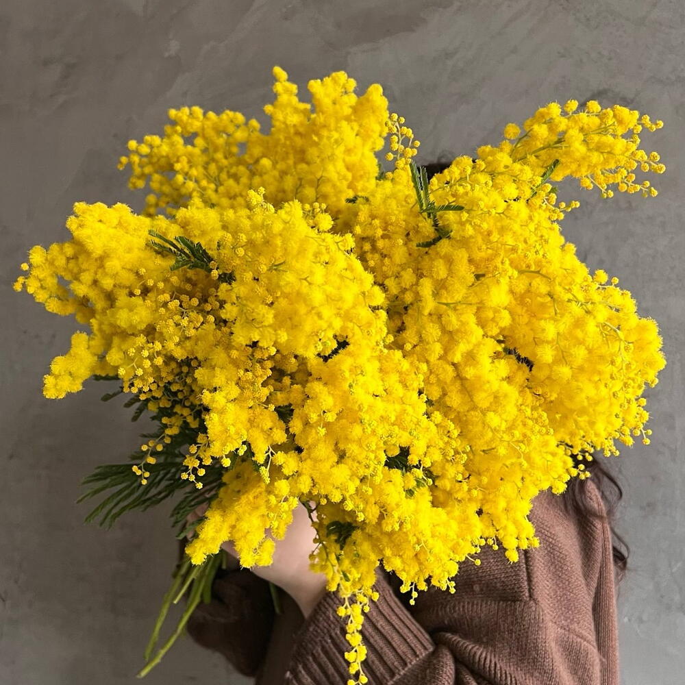 Охапка мимозы (5 веток)