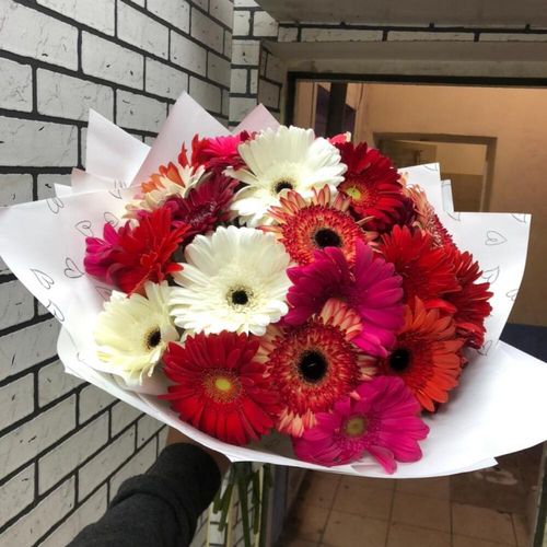 Гербера микс