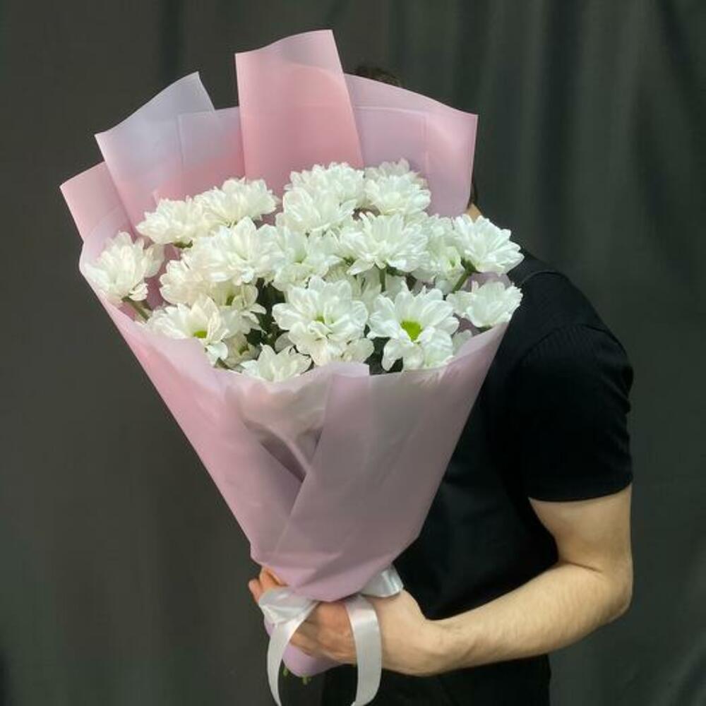 Хризантема ромашка 