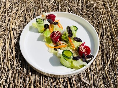 Салат с подкопченной семгой и овощами в цитрусовом соусе