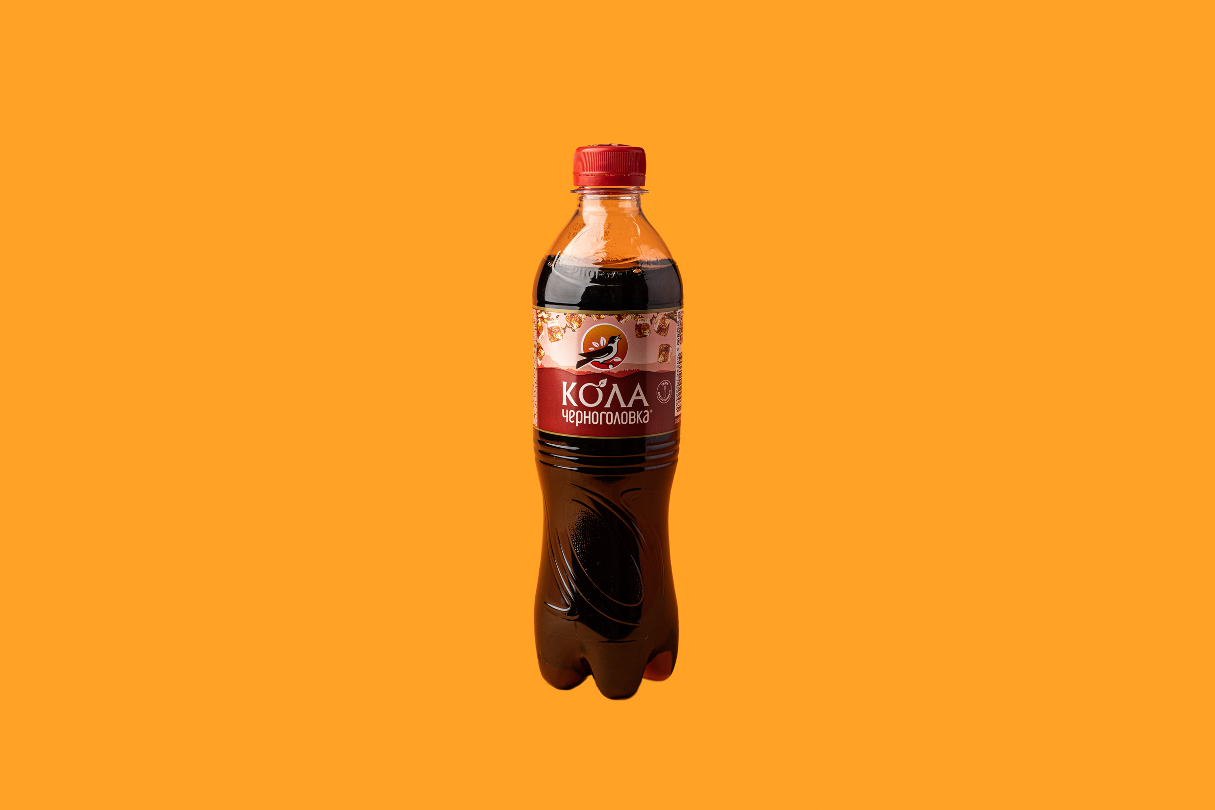 Черноголовка Кола