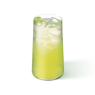 Лимонад Медовый кактус L