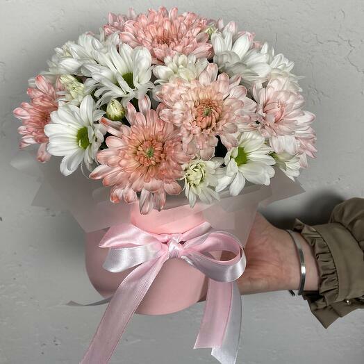 Хризантема в шляпной коробке