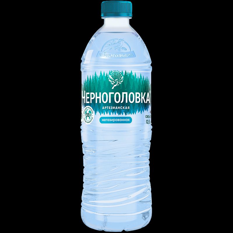 Вода Черноголовка н/газ 0,5