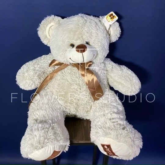 Медведь Амур