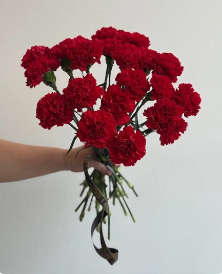 Букет из 20 красных гвоздик