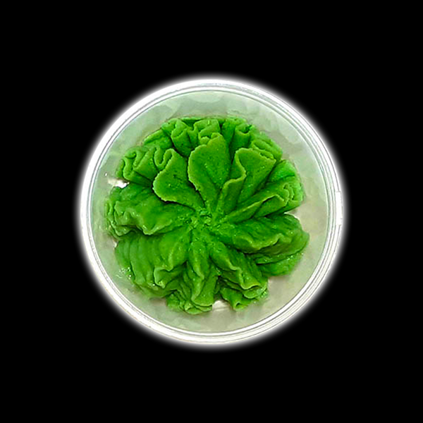 Васаби премиум