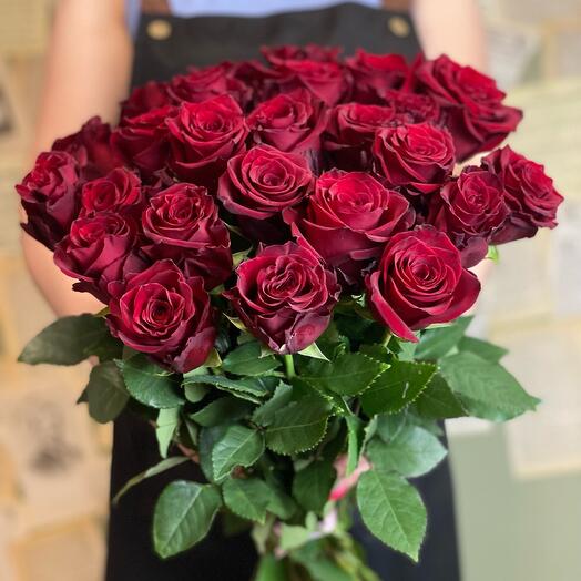 Роза эквадор 60см 