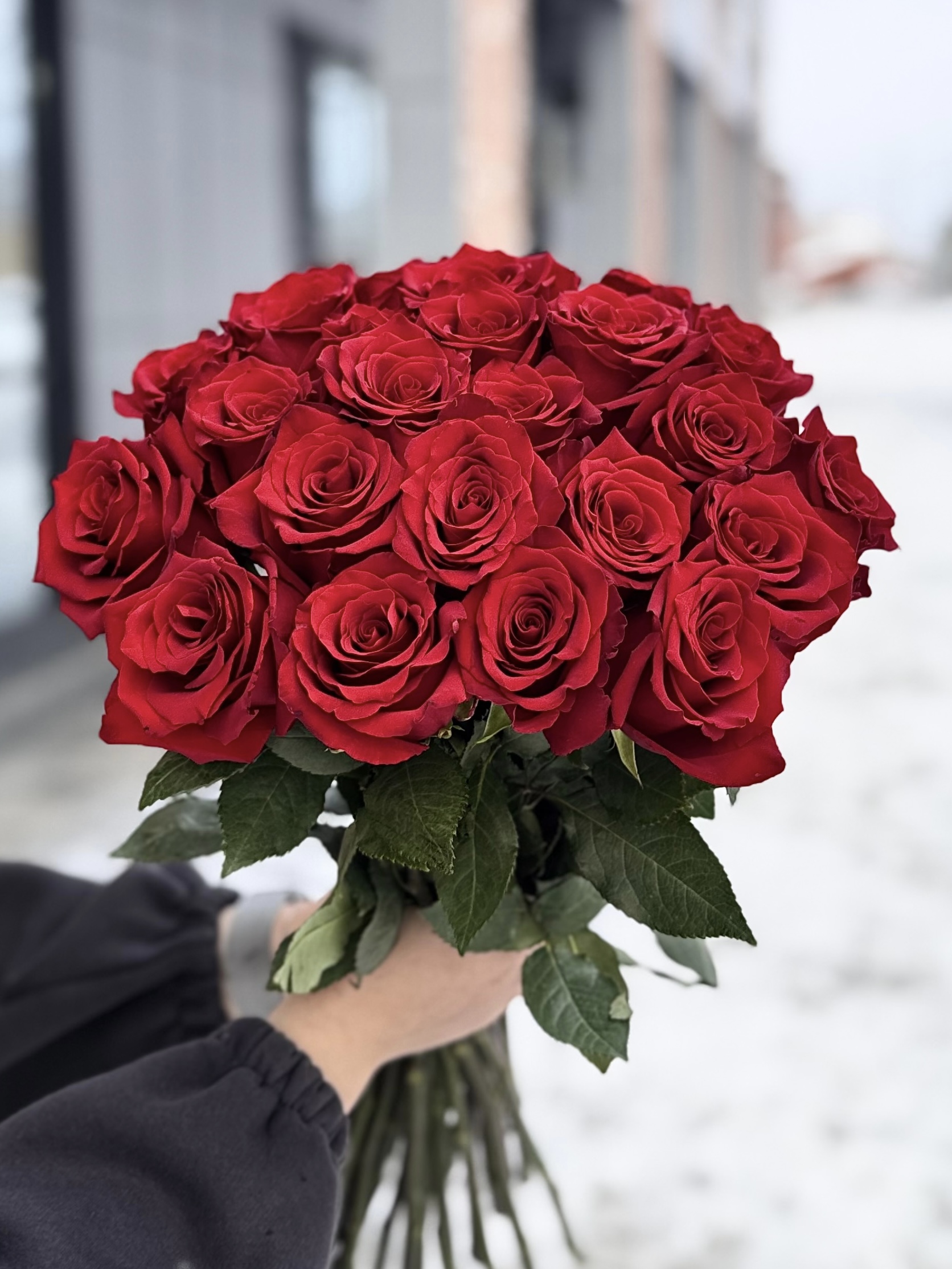 21 красная роза
