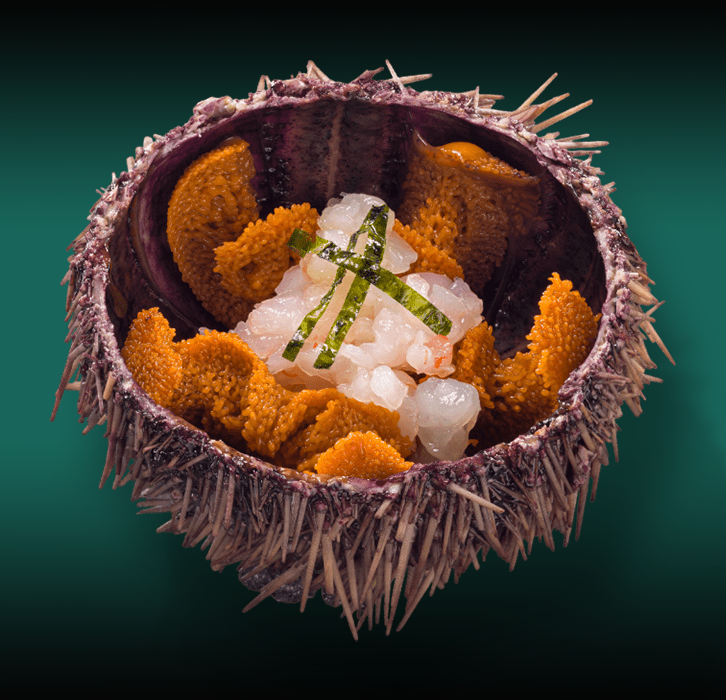 Ежи морские 3шт