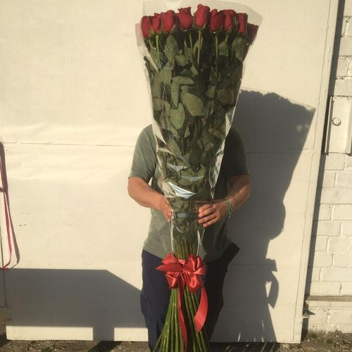 Букет из 25 красных роз Эквадор 160 см