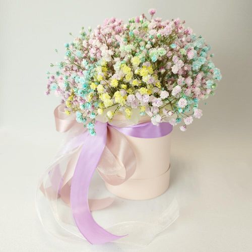 Радужная гипсофила в коробочке (к1923)