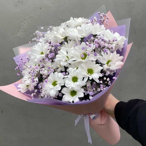 Хризантемы ромашки с гипсофилой