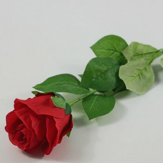 Роза красная Эквадор 