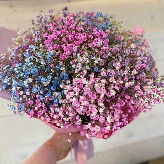 Гипсофила радужная