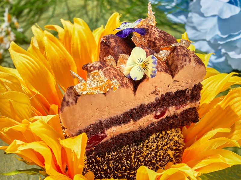 Шоколадный с вишней