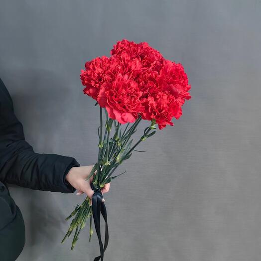 Гвоздика красная 6 штук