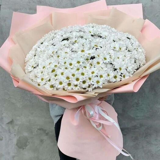 51 Хризантема букет гигант