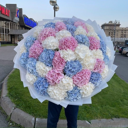 Букет из Гортензии MIX