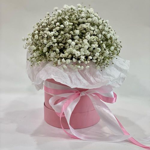 Букет из гипсофилы в коробке (к1798)