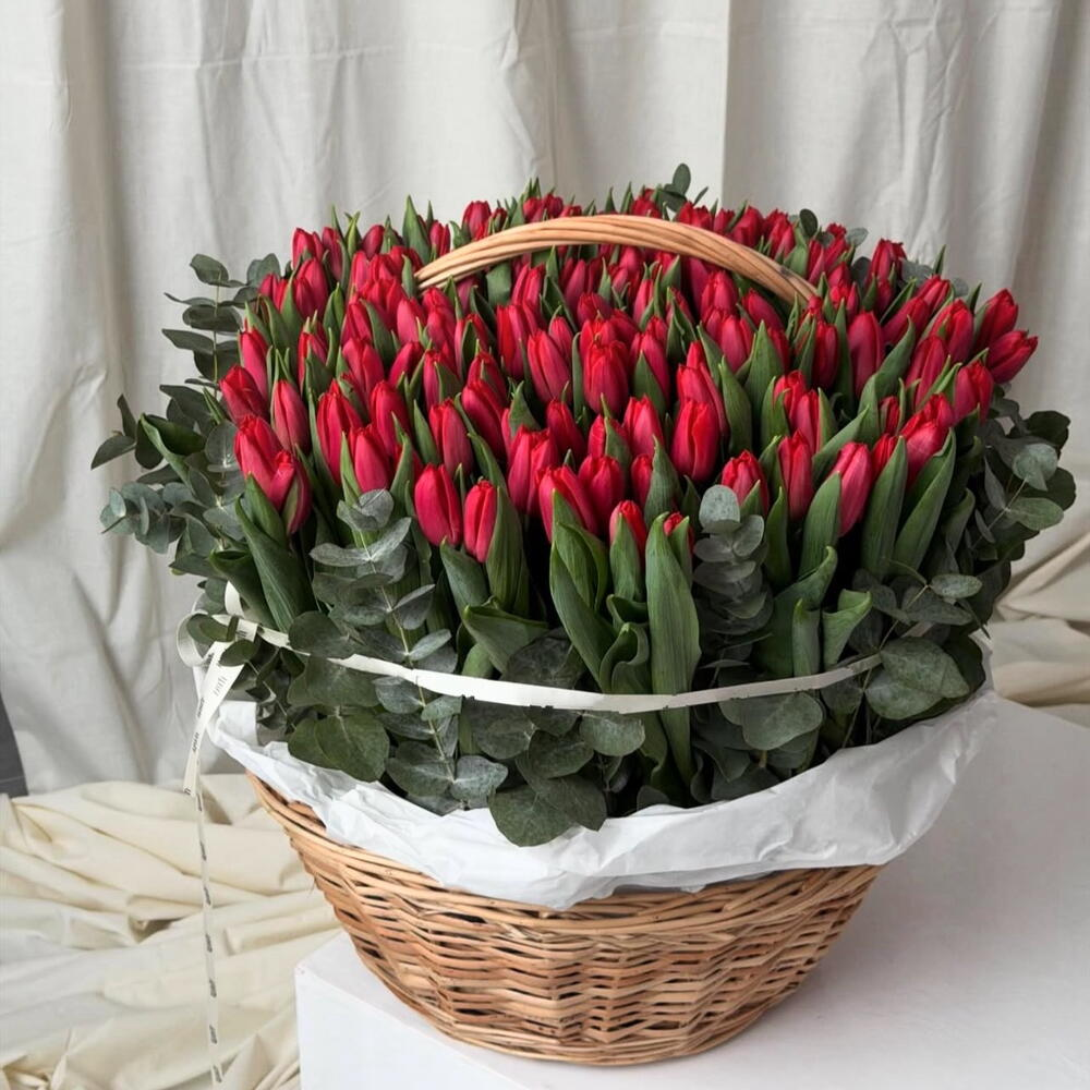 151 тюльпан в корзмне с эвкалиптом