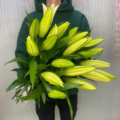 Букет из Лилии белой крупной