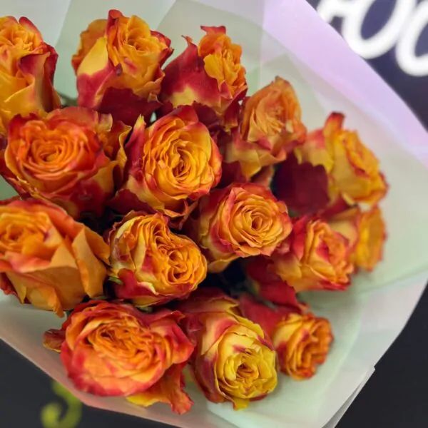 Букет из 15 огненно-оранжевых роз в упаковке