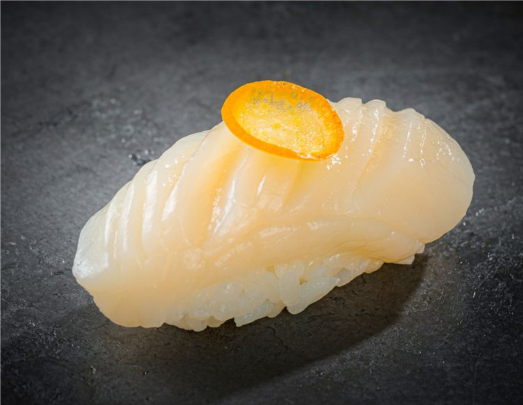 Морской Гребешок