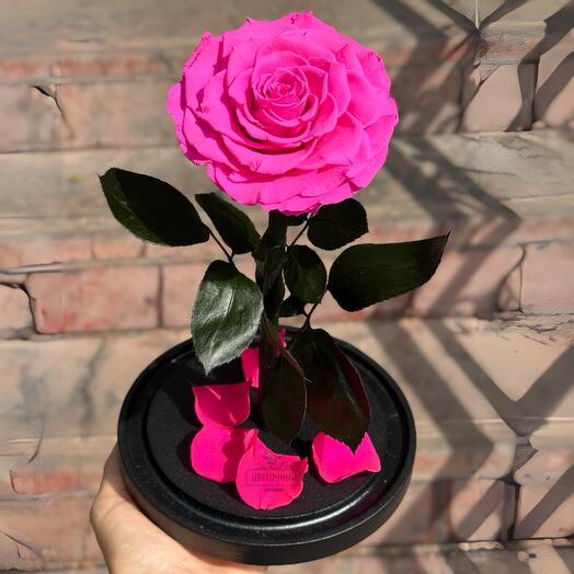 Роза в колбе VIP розовая