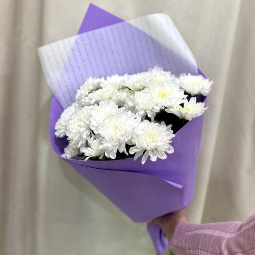 Букет из 5 кустовых хризантем (б1803)