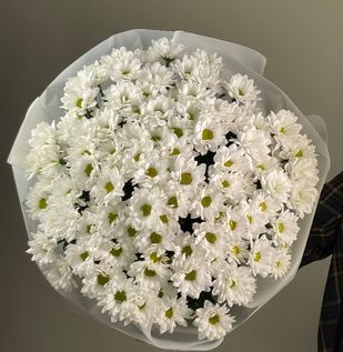 Букет "Ромашки" 15 в