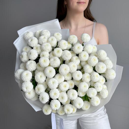 Нежный букет кустовая белая хризантема Ньютон 11 шт