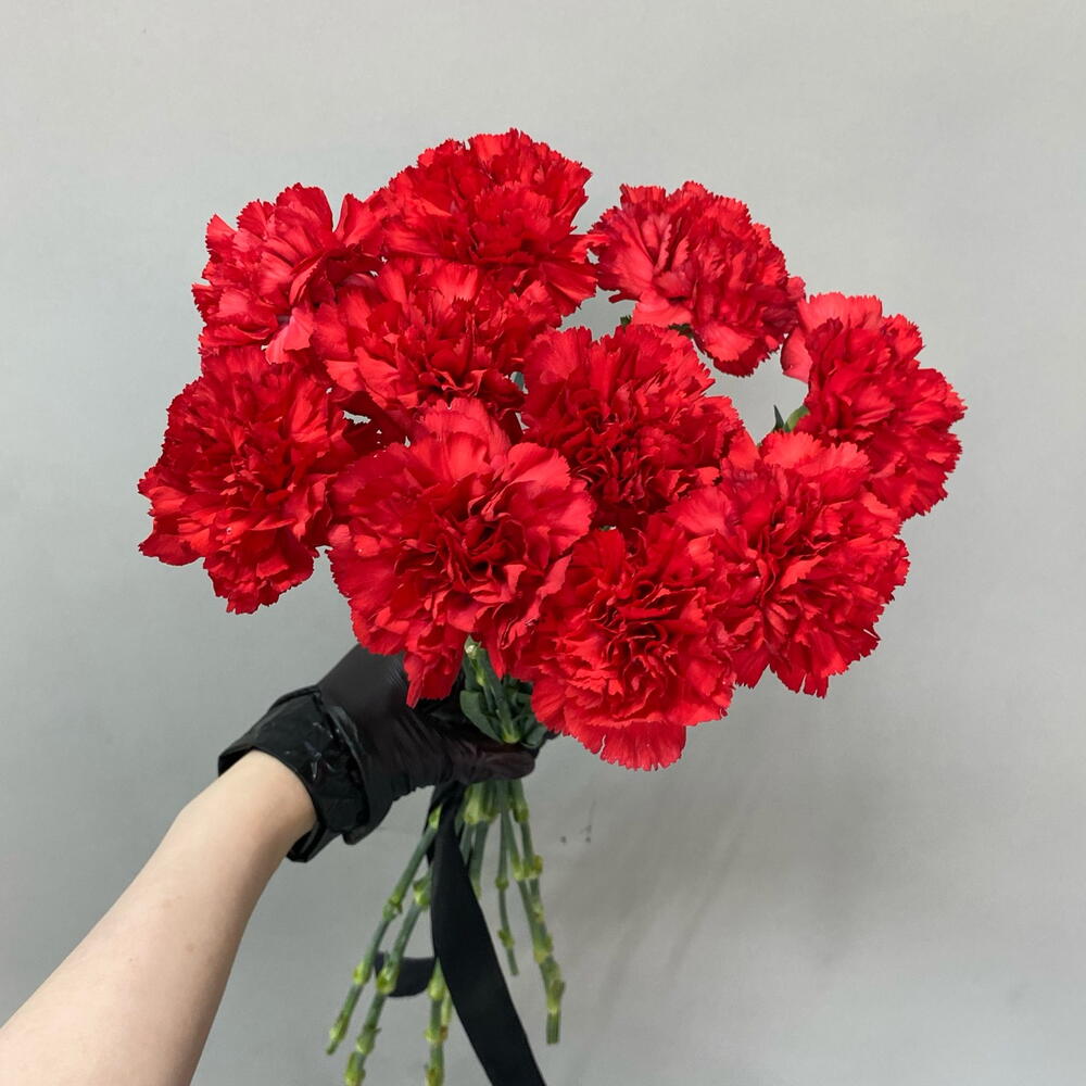 Красная гвоздика 10 штук