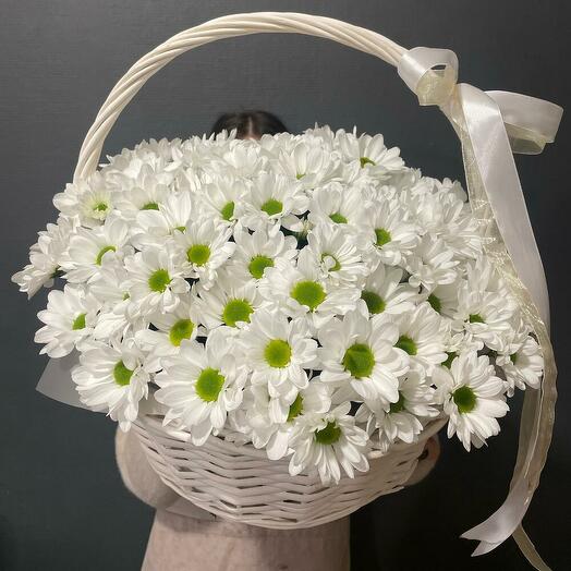 Большая Корзина хризантем 19 шт
