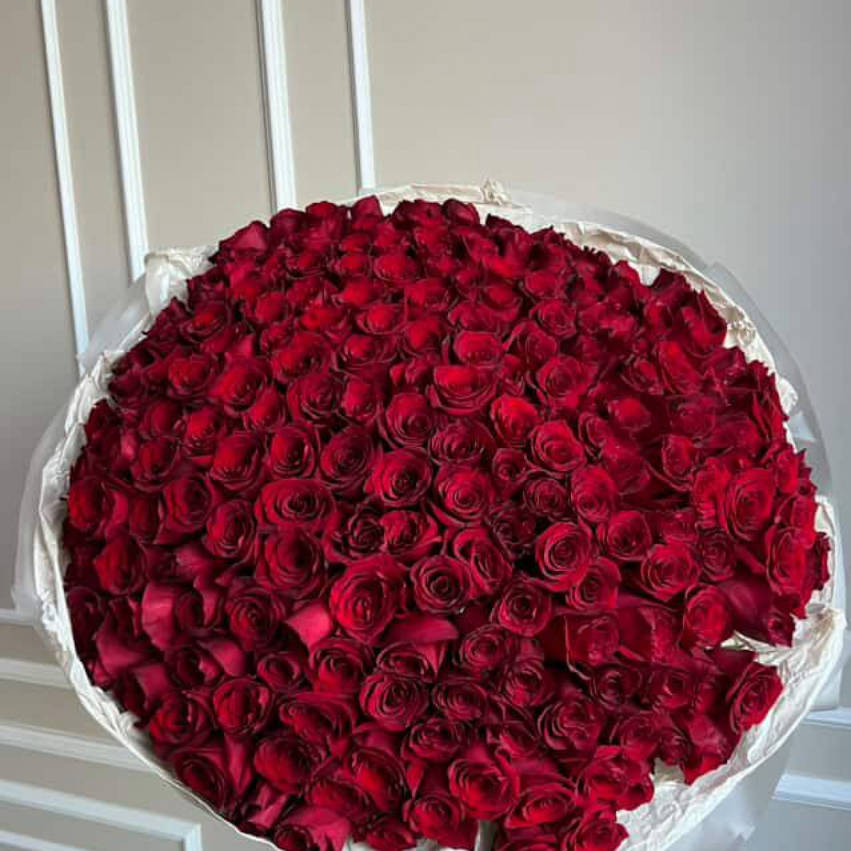 201 Роза Эквадор 60 см (предзаказ)