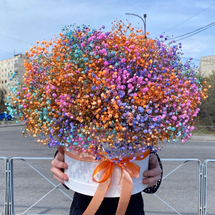 Коробка гипсофилы
