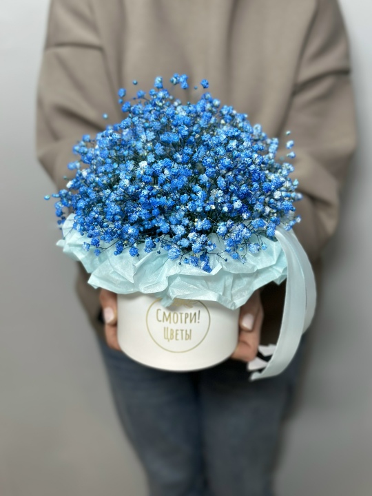 Голубая гипсофила в коробке