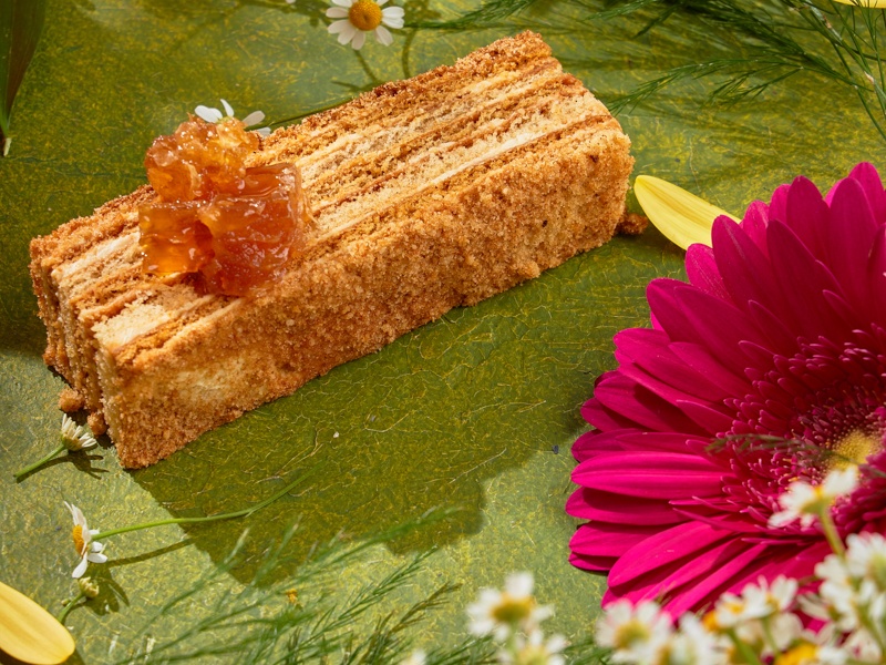 Медовик гречишный