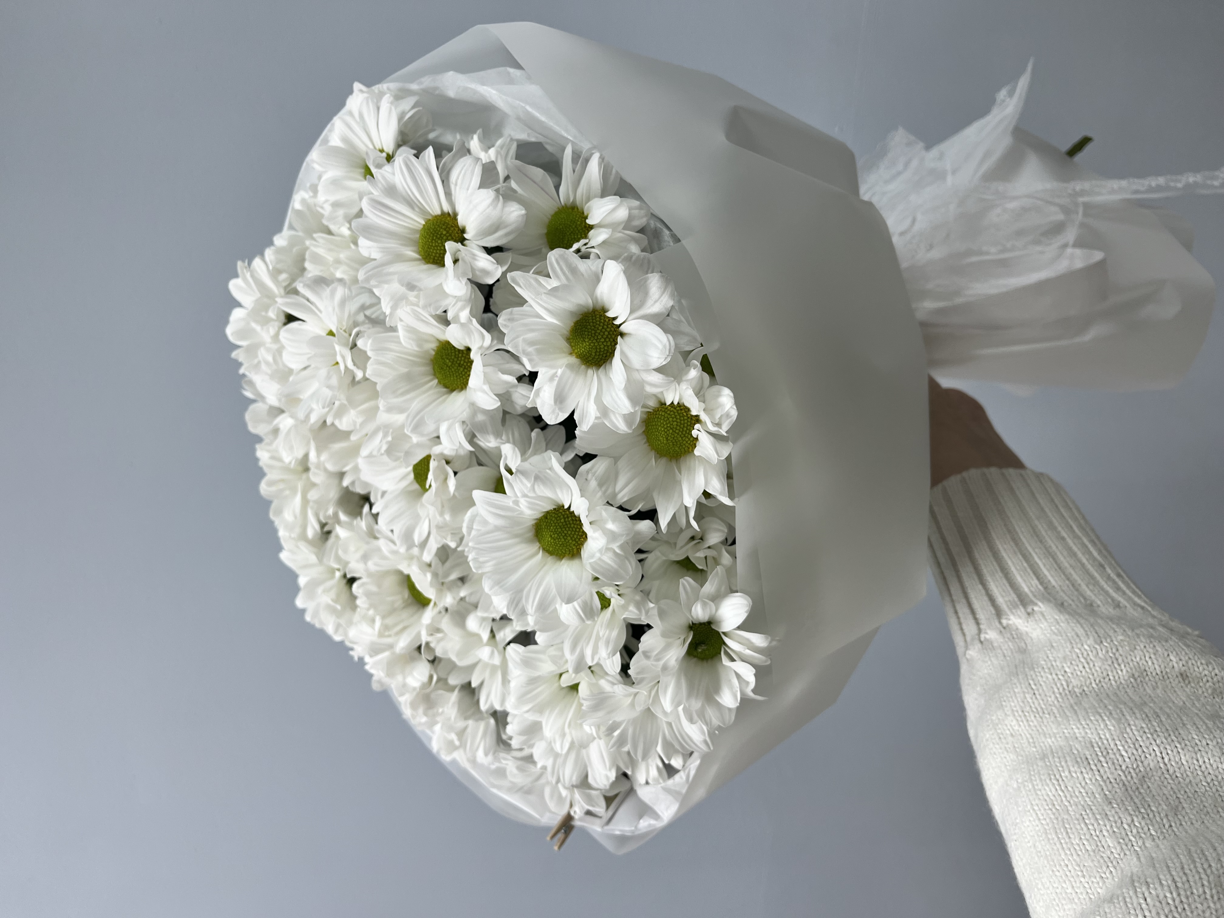 Белая ромашка в зефирной упаковке