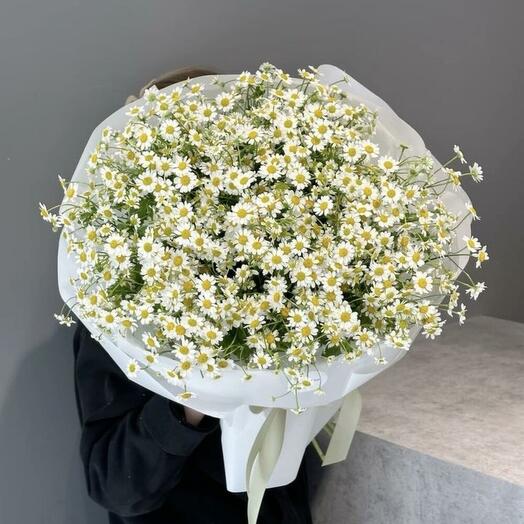 Ромашки для нежняшки