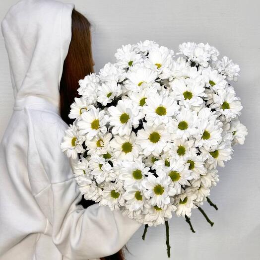 Букет из 7 ромашковидных хризантем под ленту