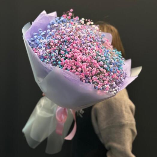 Гипсофила радужная 