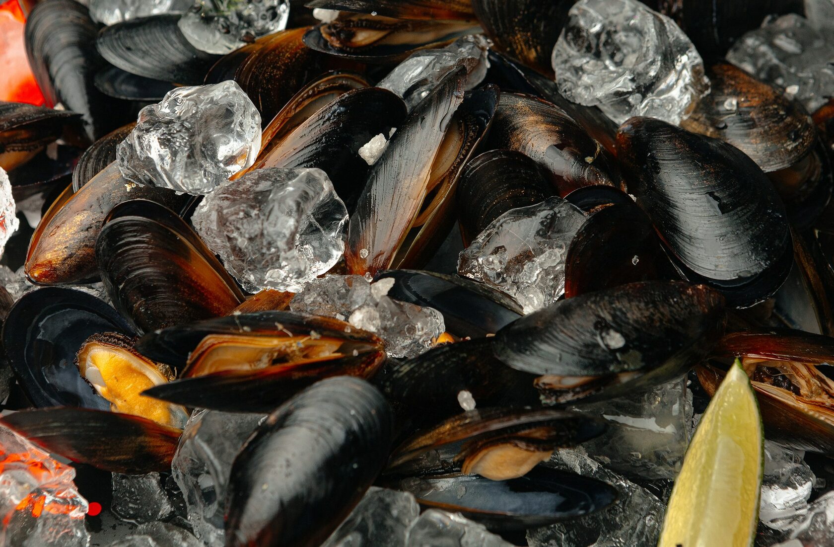 Мидии в соусе васаби