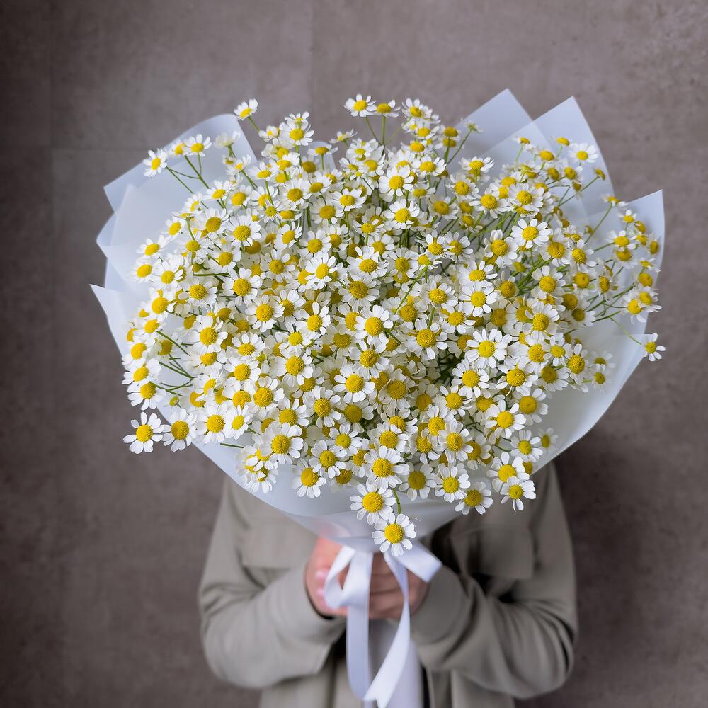 Моно из ромашек кустовых