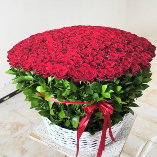 301 Роза в корзине