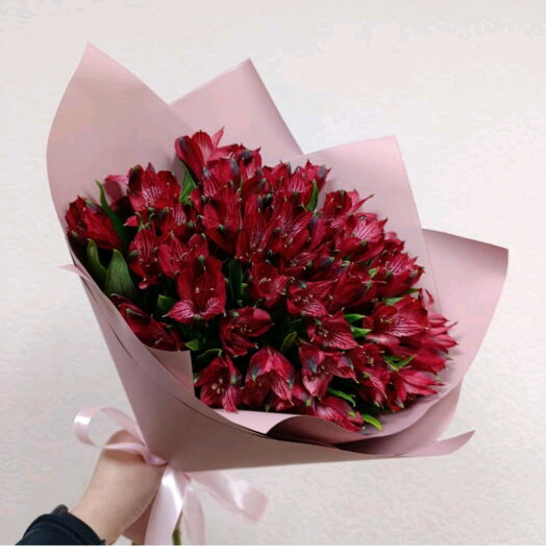 9 красных альстромерий 