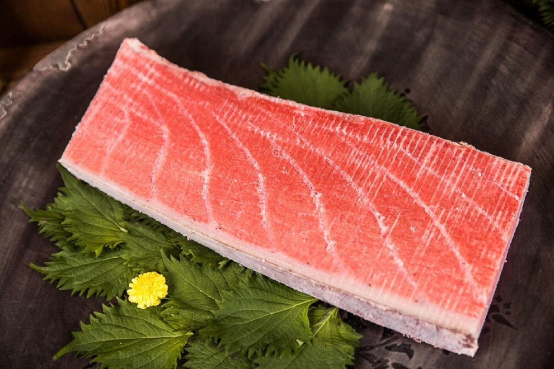 Тунец Bluefin O-Toro