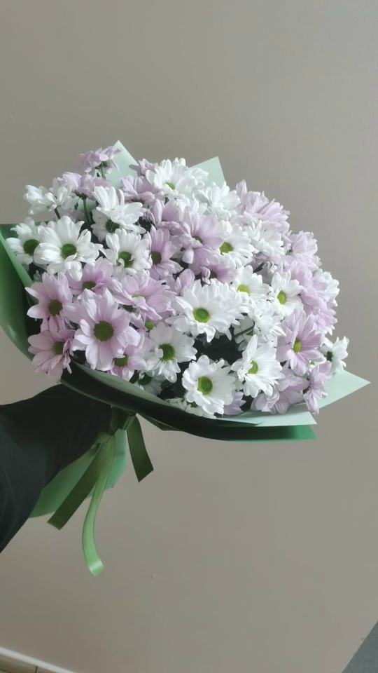Букет из 11 кустовых хризантем.